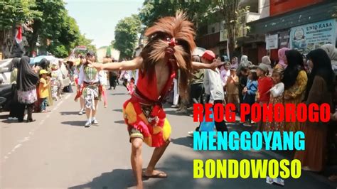 goyang ngentot|Bondowoso bergoyang